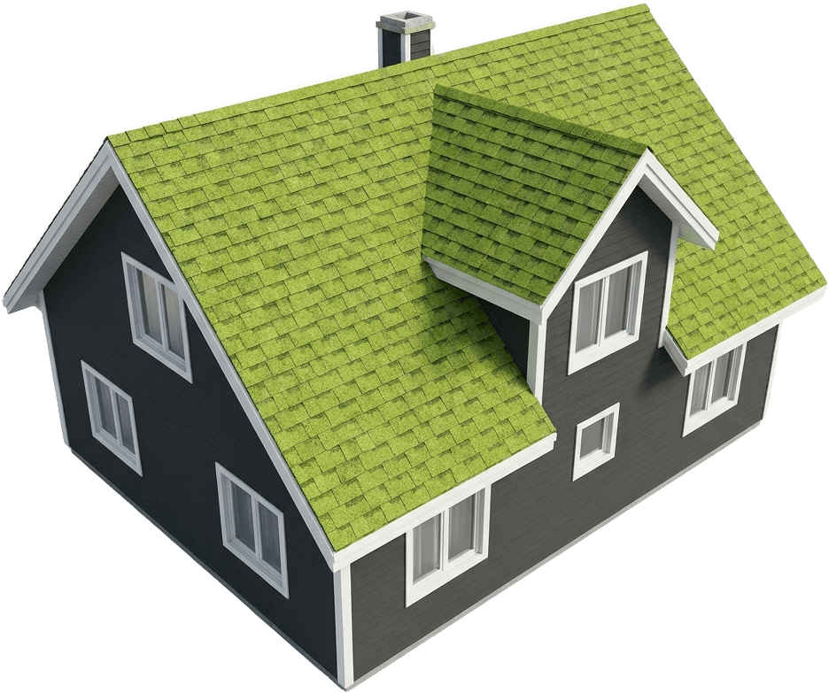 3D model of a house with a lime green shingle roof